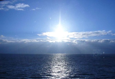 sole
