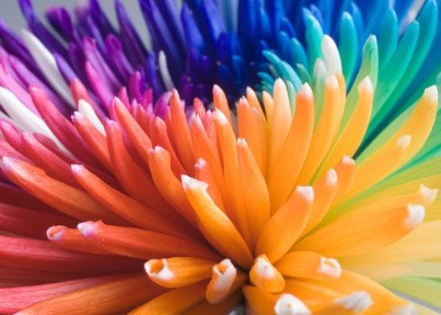 mix floreale