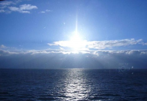 sole sole
